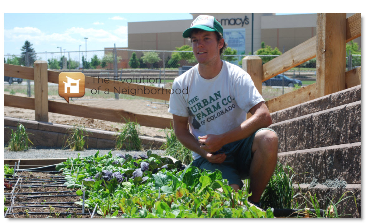 Stapleton Gardening Season Evolution of a Neighborhood