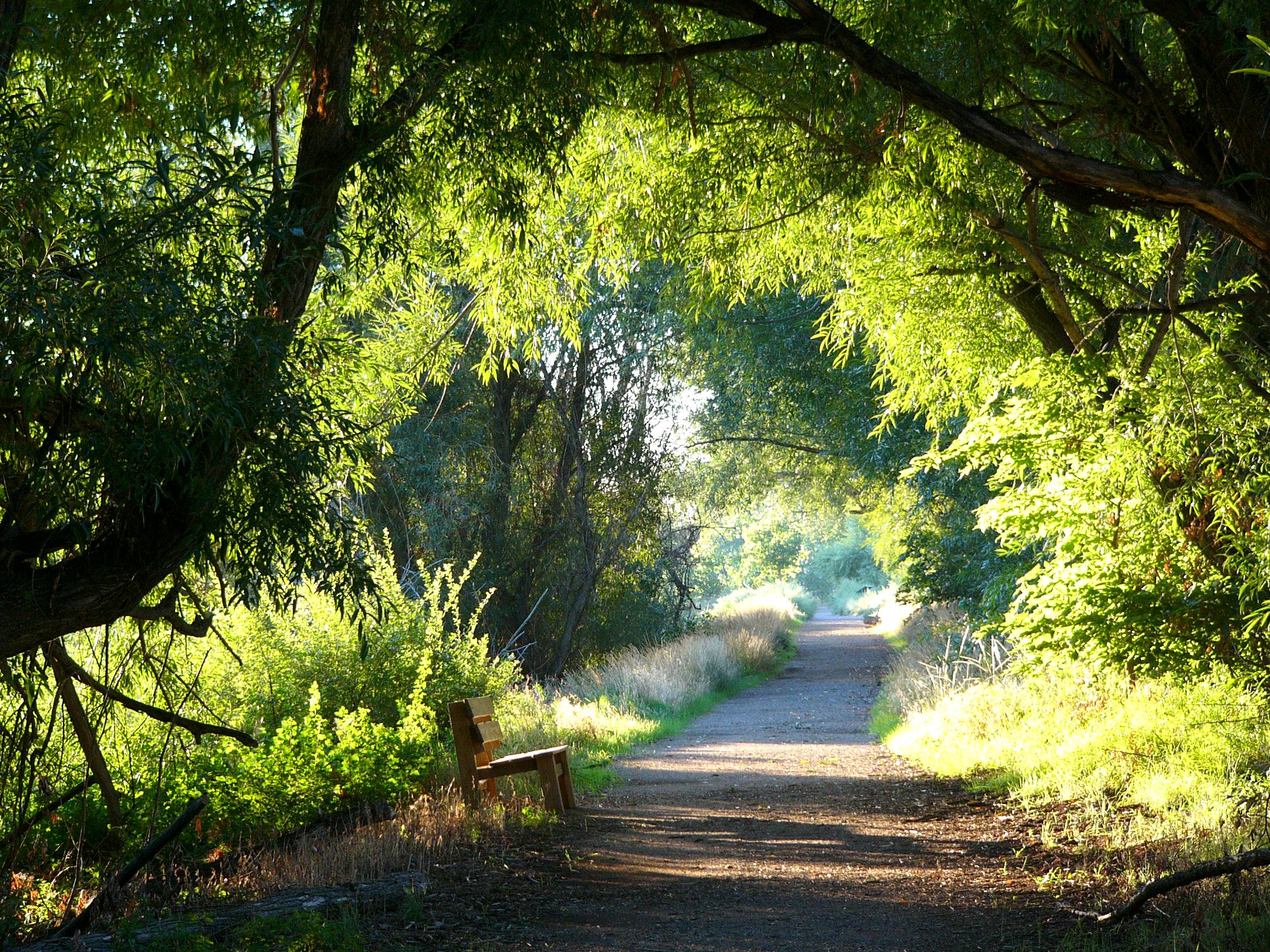 Walking trail in Bluff Lake in Stapleton