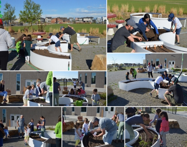 The Kitchen Community Learning Garden