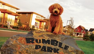 Rumble Park