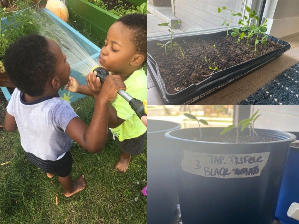 Gardening Collage