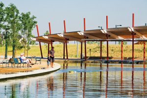 Remote Control Boat in CP Pond